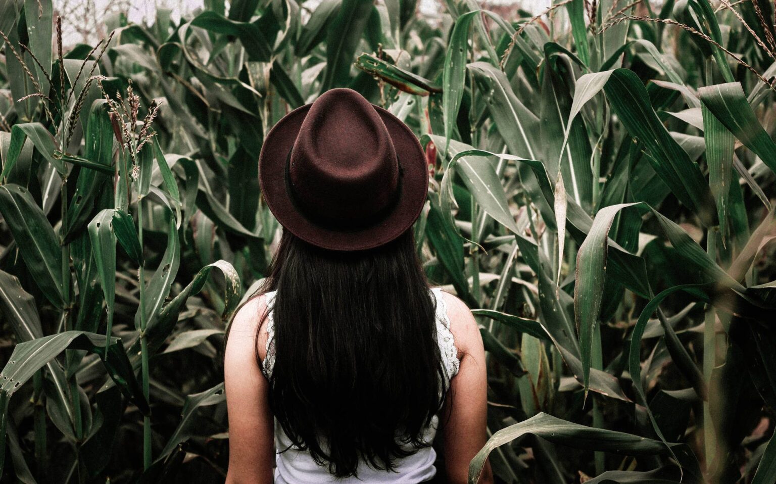 How Lifestyle Changes Affect Luxury Brands