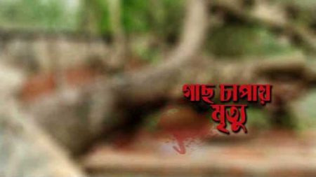 শরণখোলায় গাছ চাপা পড়ে গৃহবধূর মর্মান্তিক মৃত্যু