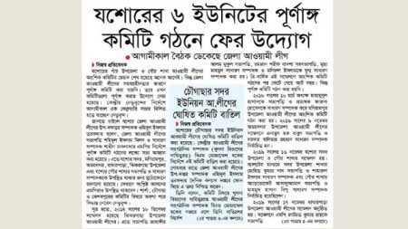 যশোরের ৬ ইউনিটের পূর্ণাঙ্গ কমিটি গঠনে ফের উদ্যোগ