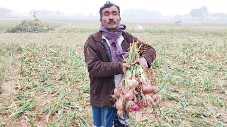 ঝিনাইদহে পানির দামে বিক্রি হচ্ছে গ্রীষ্মকালীন পেঁয়াজ