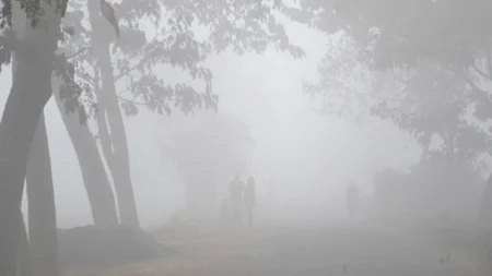যশোরে তাপমাত্রা কমতে কমতে ৭ এর ঘরে