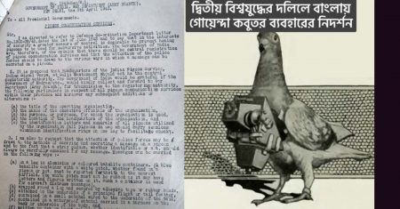 কবুতর যখন গোয়েন্দা: প্রাচীন গ্রিস থেকে বাংলা