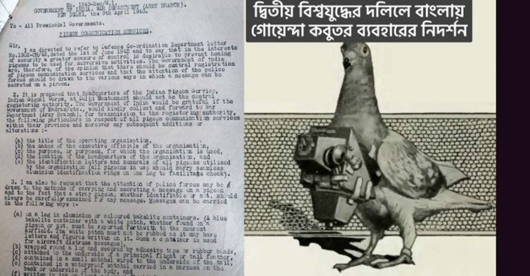 কবুতর যখন গোয়েন্দা: প্রাচীন গ্রিস থেকে বাংলা