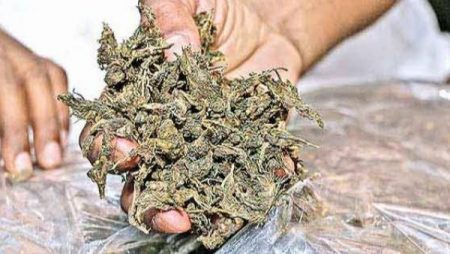 যশোরে গাঁজাসহ যুবক আটক