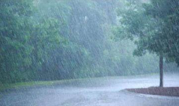 বিদায় নিয়েছে শীত, আসছে বৃষ্টির দিন
