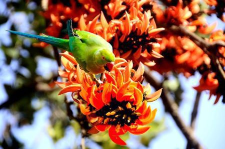 আজকের ছবি : ০১ ফেব্রুয়ারি ২০২৩