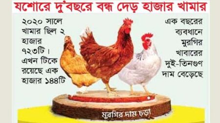 যশোরে দুই বছরে বন্ধ দেড় হাজার খামার 