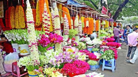 ভাষা দিবস উপলক্ষে ঝিকরগাছায় ১৫ কোটি টাকার ফুল বিক্রির আশা