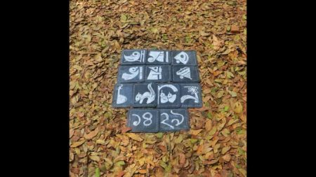 ‘আমার ভাষার চলচ্চিত্র ১৪২৯’ এর পর্দা উঠছে আজ