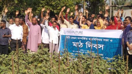 যশোরে বেগুনের মাঠ দিবস পালন