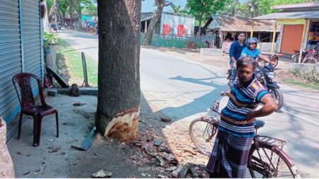 সুজলপুরে গাছ কাটায় এলাকাবাসীর ক্ষোভ
