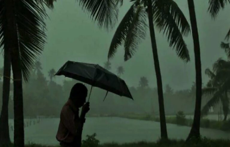 দীর্ঘ অপেক্ষার পর যশোরে স্বস্তির বৃষ্টি