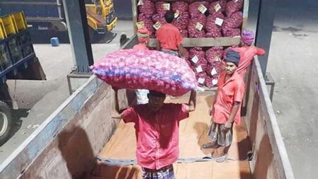 ৬ মাসে আমদানি ৯ হাজার ৮৮৭ টন