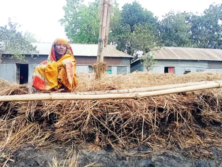 ‘গাঁজা খেয়ে’ এক রাতে ১৭টি খড়ের গাদায় আগুন