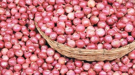 বাংলাদেশের জন্য ১৬৫০ টন পেঁয়াজ কিনছে ভারত
