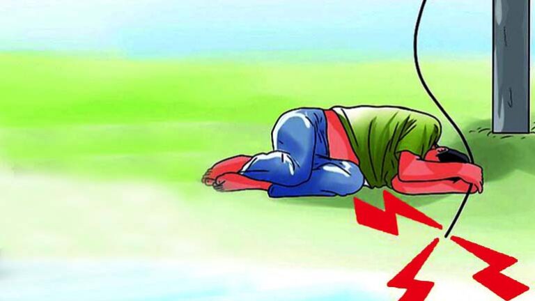 খুলনায় ইঁদুর মারার ফাঁদে বিদ্যুৎস্পৃষ্ঠ হয়ে কৃষকের মৃত্যু ইঁদুর মারার ফাঁদে বিদ্যুৎস্পৃষ্ঠ হয়ে কৃষকের মৃত্যু