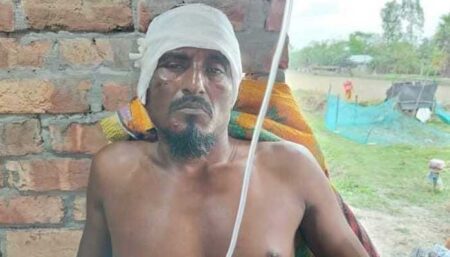 বাঘের সঙ্গে লড়ে যেভাবে ভাইকে বাঁচালেন জেলে