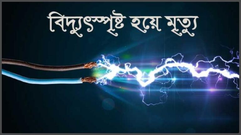 ঝিকরগাছায় বিদ্যুৎস্পৃষ্টে ফুল চাষীর মৃত্যু