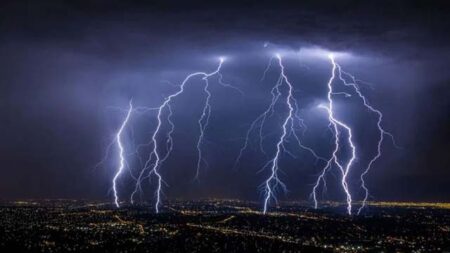 ধান বাঁচাতে গিয়ে নিভলো প্রাণ