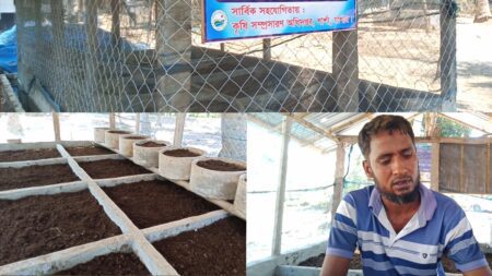 বাণিজ্যিকভাবে ভার্মি কম্পোস্ট সার উৎপাদনে সফল মোহম্মদ আলী