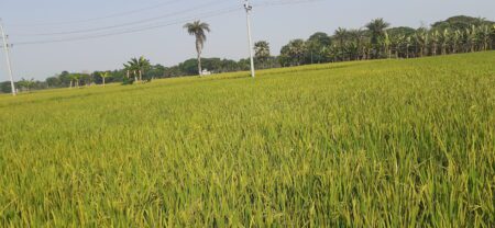 Nengurahat