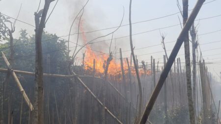 চুয়াডাঙ্গায় ফসলি জমিতে আগুন