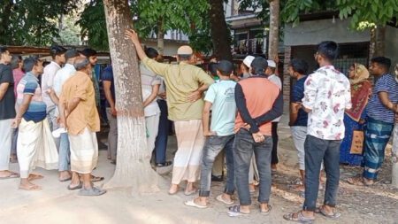 ননদের বাড়িতেই ফাঁস নিলেন শোভানা