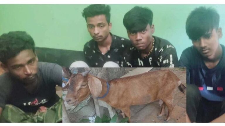 নেশার টাকা জোগাতে ছাগল চুরি, অতঃপর.. নেশার টাকা জোগাতে ছাগল চুরি, অতঃপর..