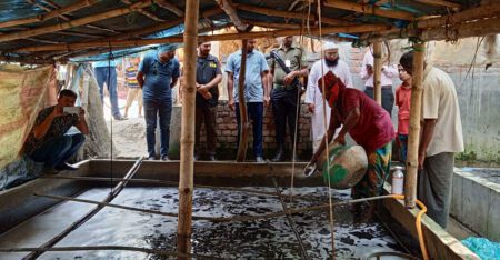যশোরে বিপুল পরিমাণ নিষিদ্ধ আফ্রিকান মাগুর মাছ ধ্বংস
