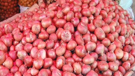 বাংলাদেশে পেঁয়াজ রপ্তানির অনুমতি দিলো ভারত