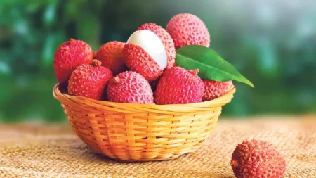 লিচুর উপকারিতা ও পার্শ্বপ্রতিক্রিয়া