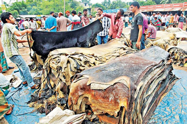 চামড়া বেচাকেনায় নৈরাজ্য