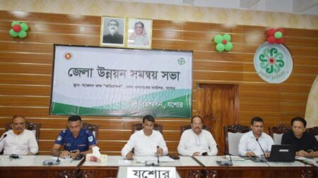 যশোরে ডেঙ্গু প্রতিরোধে মশক নিধন জোরদার করতে নির্দেশ