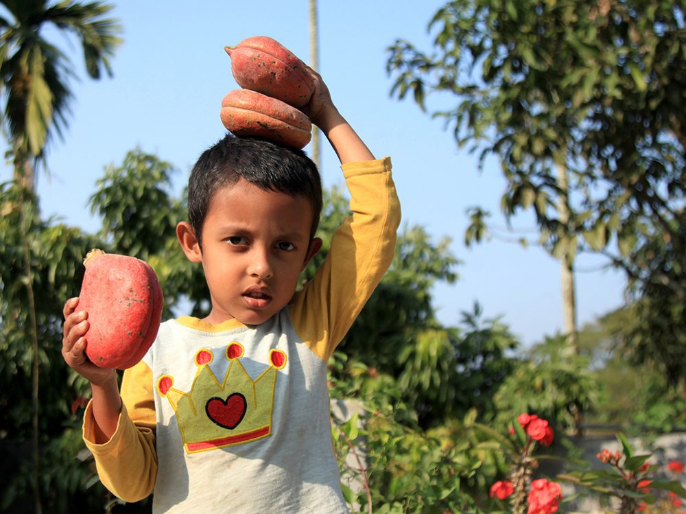 দেশি-বিদেশি ফল চাষে আগ্রহ বাড়ছে বাউফলে