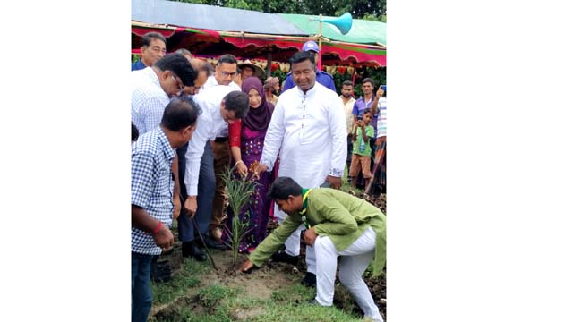 ঐতিহ্য ধরে রাখতে চৌগাছায় খেঁজুর বাগান প্রকল্পের যাত্রা
