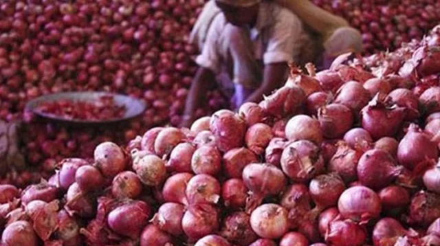 কমছে পেঁয়াজের দাম, স্বস্তিতে নিম্ন আয়ের মানুষ কমছে পেঁয়াজের দাম, স্বস্তিতে নিম্ন আয়ের মানুষ