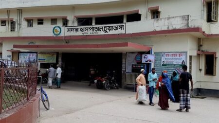 চুয়াডাঙ্গায় সাপের কামড়ে প্রাণ গেল গৃহবধূর