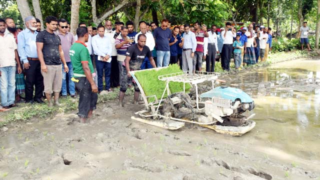 দেয়াড়ায় আধুনিক পদ্ধতিতে ধান লাগানো উদ্বোধন
