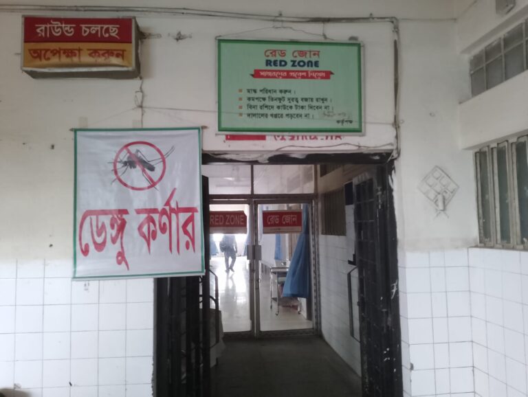 যশোরে ডেঙ্গু আক্রান্ত দু'জনের মৃত্যু