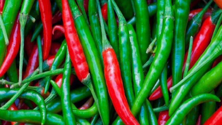 ঝালের ঝাঁঝে নাজেহাল ক্রেতা