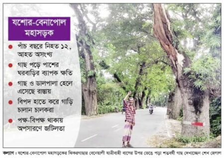 ঝুঁকিপূর্ণ সেই গাছের কারণে দু’জনের প্রাণহানি