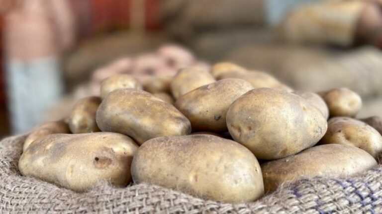 আলুর নতুন দাম নিশ্চিত করতে ডিসিদের নির্দেশ