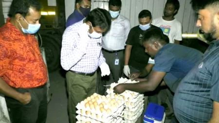 ভারত থেকে এল ১০ কোটি ডিমের প্রথম চালান, হালি হবে ৪০ টাকা