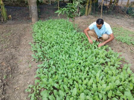 দুঃখ ঘুচবে যশোরাঞ্চলের ৬ জেলার সবজি চাষির