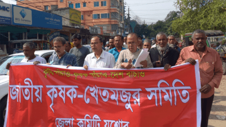 পোকার আক্রমণে ক্ষতিগ্রস্ত আমন চাষিকে ক্ষতিপূরণ দেয়ার দাবি