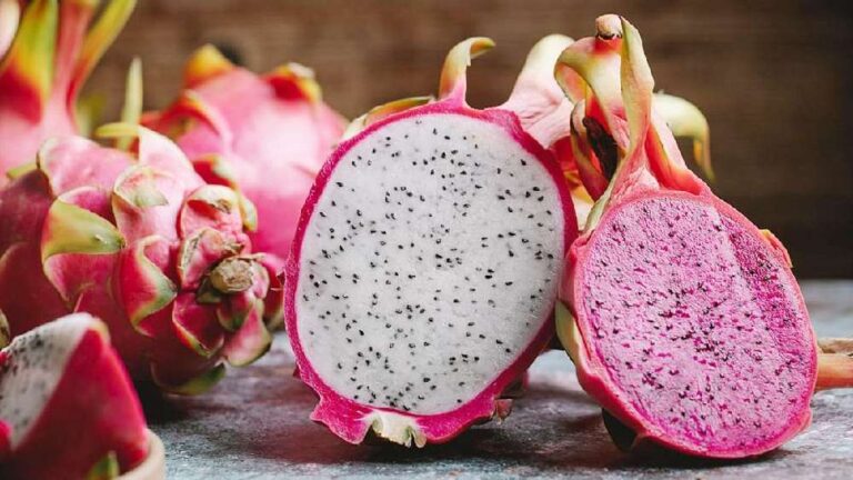 ড্রাগন ফল নিয়ে বিভ্রান্তি