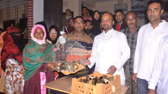 চাঁচড়ায় হাঁসের বাচ্চা বিতরণ