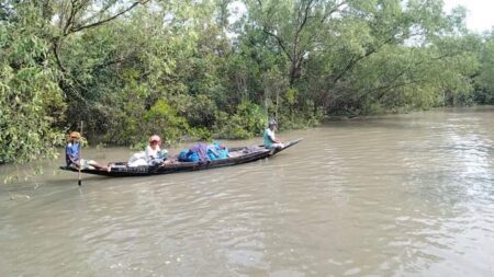 সুন্দরবনের নোটাবেকী অভয়ারণ্যে চলছে হরিলুট