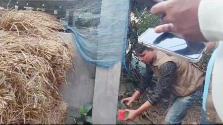 বেনাপোল থেকে অবিস্ফোরিত ১০টি ককটেল উদ্ধার