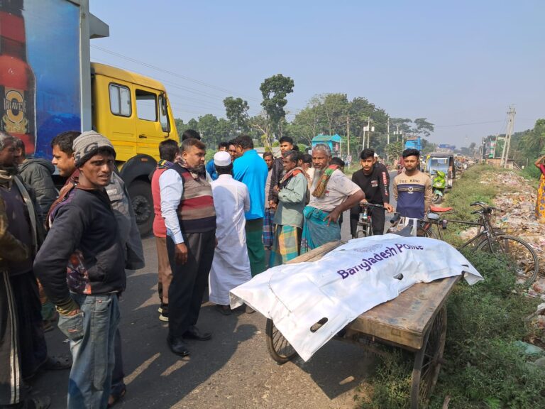 পরিবহনের ধাক্কায় নসিমন চালক নিহত